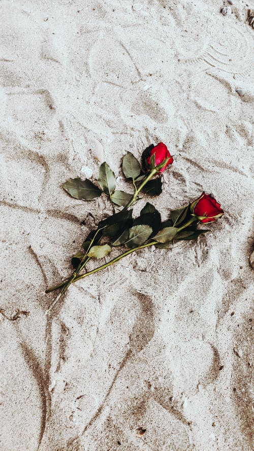 有关垂直拍摄, 微妙, 砂的免费素材图片