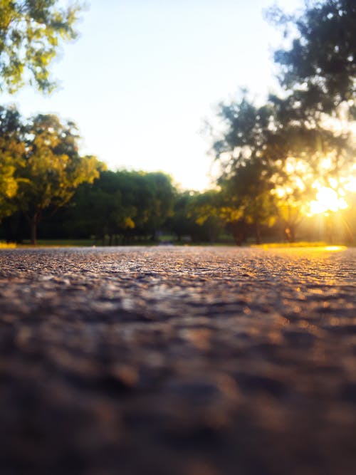 有关垂直拍摄, 太阳光线, 日光的免费素材图片