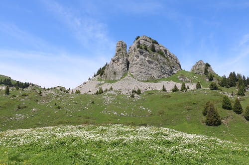 有关天性, 景观, 洛矶山脉的免费素材图片
