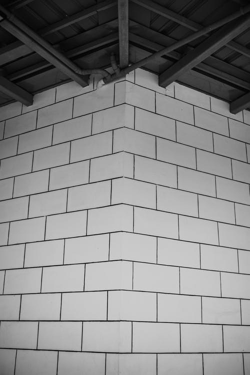 有关单色, 垂直拍摄, 灰阶的免费素材图片