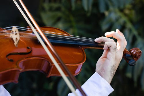 有关古典音乐, 小提琴, 小提琴弓的免费素材图片