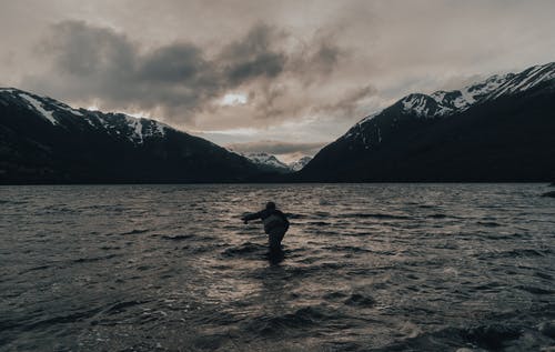 有关剪影, 坏心情, 天性的免费素材图片