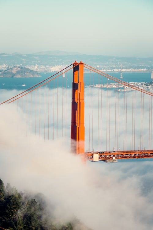 有关吊桥, 垂直拍摄, 有薄雾的的免费素材图片