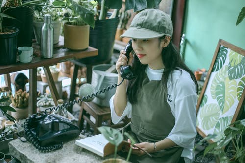 有关修剪花草, 商业, 坐下的免费素材图片