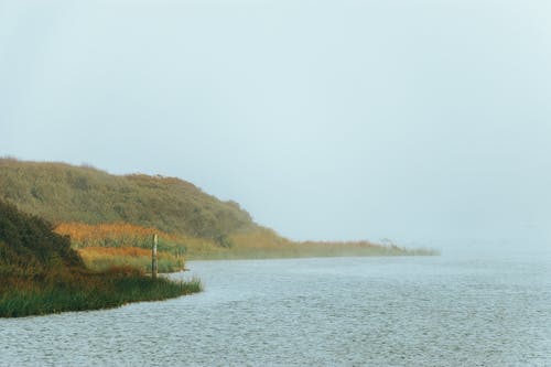 有关有薄雾的, 有雾的, 海滩的免费素材图片