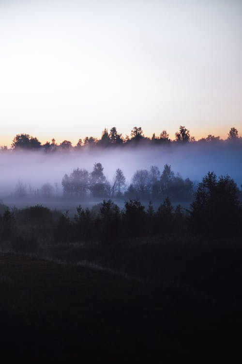 有关不清楚, 剪影, 天性的免费素材图片