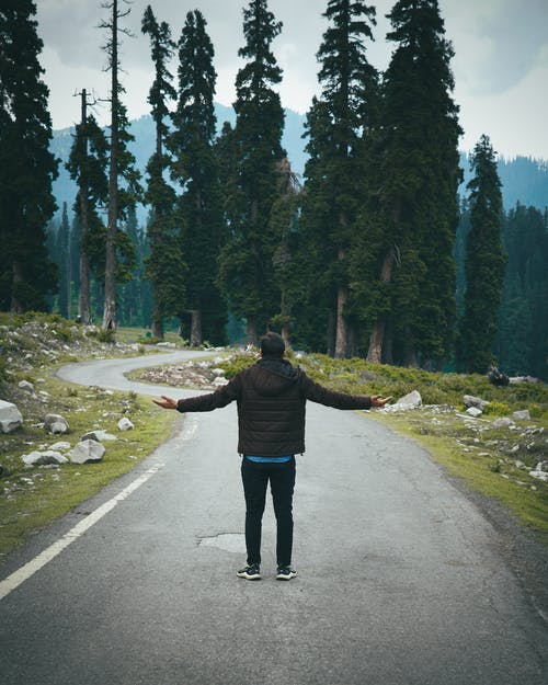 有关人, 公园, 垂直拍摄的免费素材图片