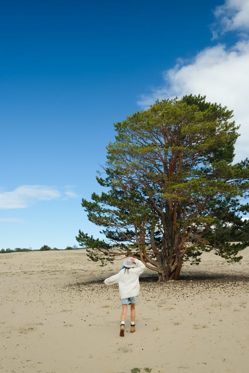 有关全景, 冒险, 垂直拍摄的免费素材图片