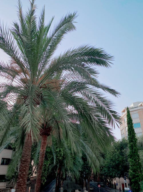 有关假期, 公園, 冷靜的免费素材图片