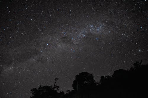 有关侧面, 剪影, 壁纸的免费素材图片