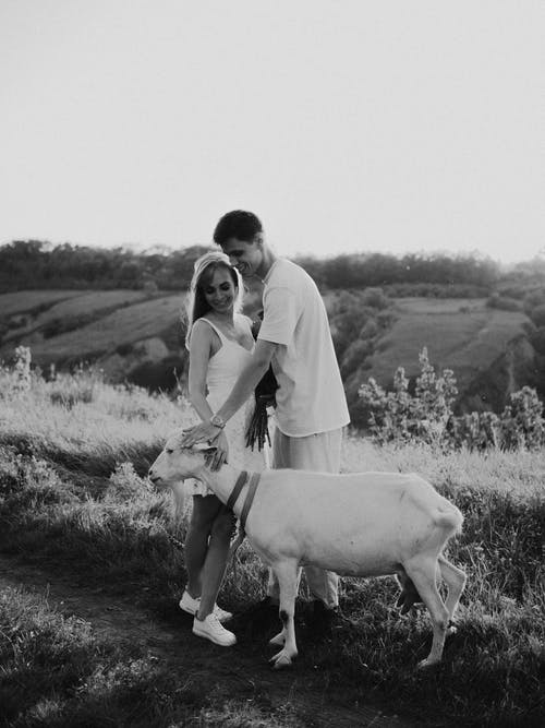 有关一對, 一起, 人的免费素材图片