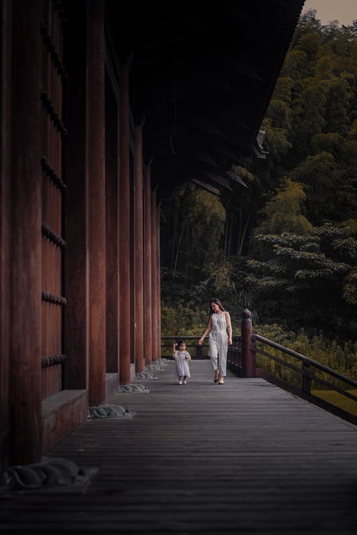 有关全景, 木栈道, 步行的免费素材图片