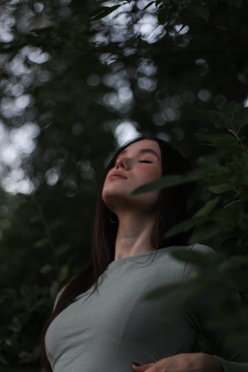 有关享受, 休息, 低角度的免费素材图片