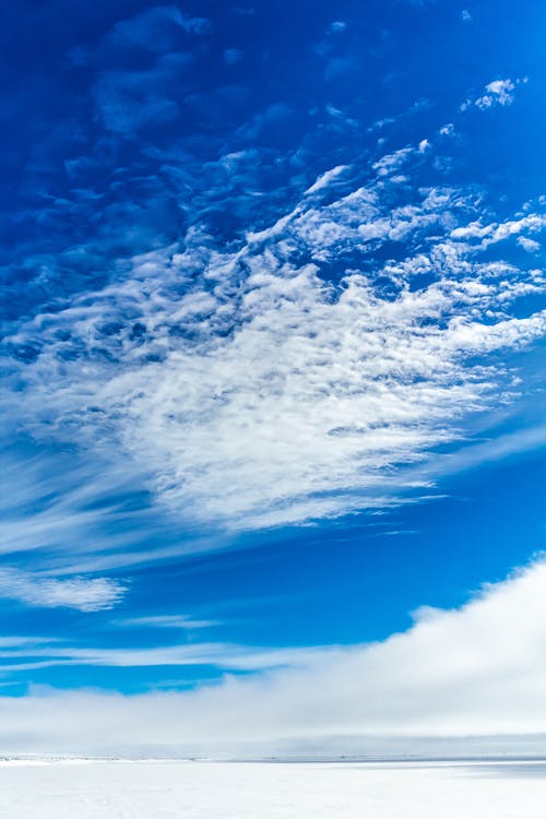 有关垂直拍摄, 天空, 平流层的免费素材图片