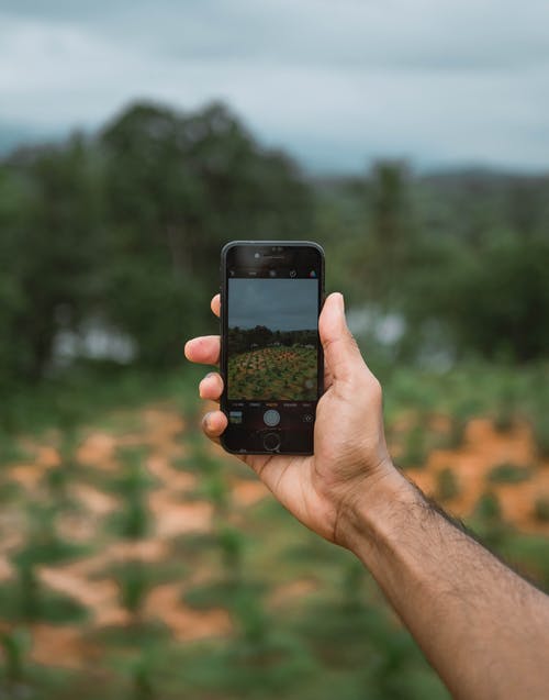 有关垂直拍摄, 手, 握住的免费素材图片