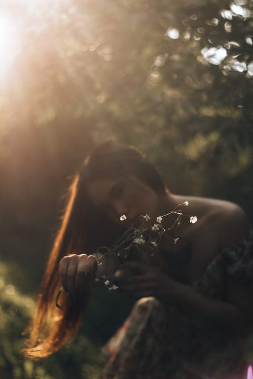 有关休息, 公园, 冷静的免费素材图片