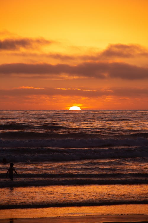 有关垂直拍摄, 天性, 岸边的免费素材图片