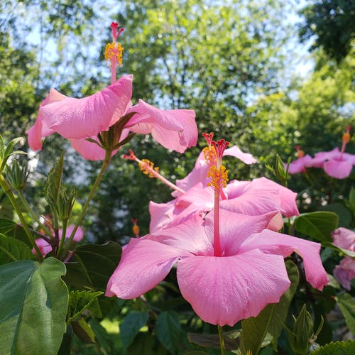 有关垂直拍摄, 增长, 天性的免费素材图片
