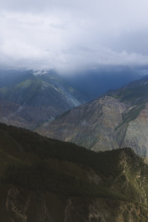 有关алтай, 俄國, 垂直拍摄的免费素材图片