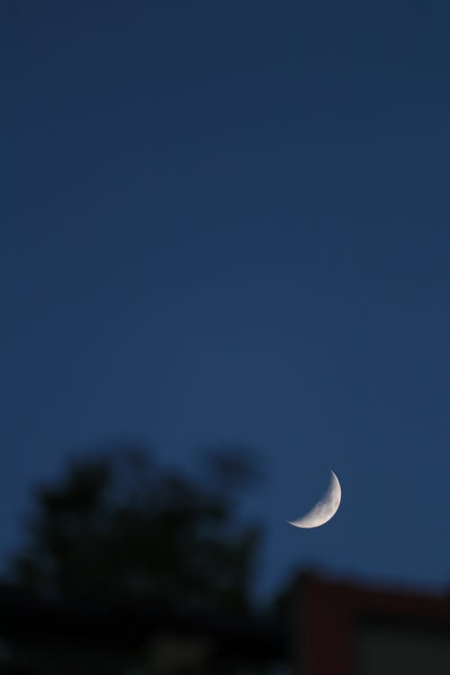有关半月, 垂直拍摄, 天文学的免费素材图片