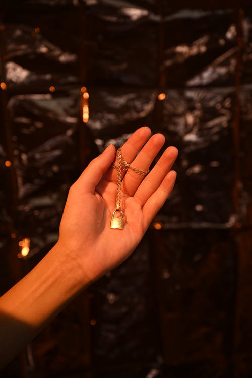 有关垂直拍摄, 握住, 特写的免费素材图片