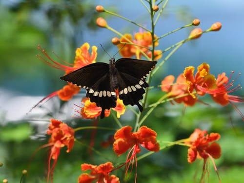 有关增长, 天性, 微妙的免费素材图片