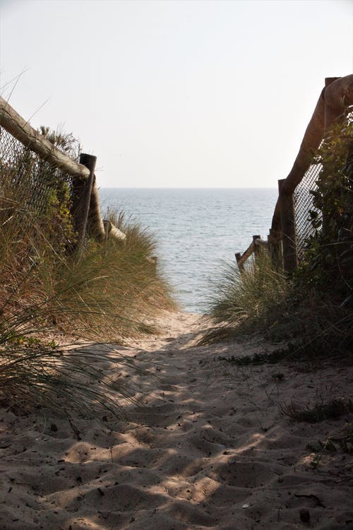 有关围栏, 垂直拍摄, 岸边的免费素材图片