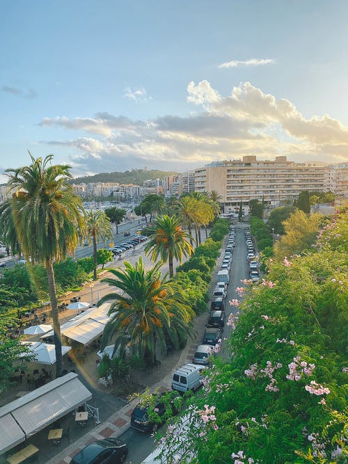 有关中央, 交通, 住宅的免费素材图片