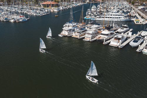 有关加州, 帆船, 水上技能的免费素材图片