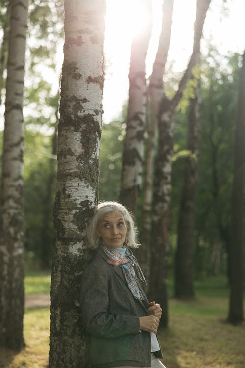 有关公园, 围巾, 垂直拍摄的免费素材图片