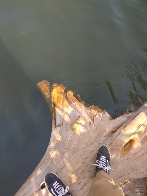 有关vans（运动鞋品牌）, 人, 户外的免费素材图片