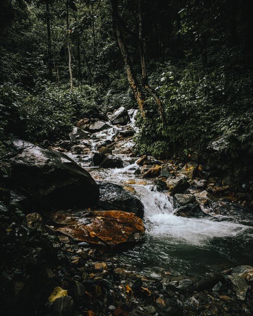 有关垂直拍摄, 天性, 岩石的免费素材图片