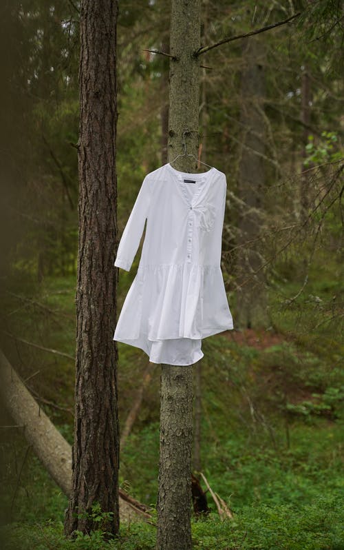 有关垂直拍摄, 天性, 户外的免费素材图片