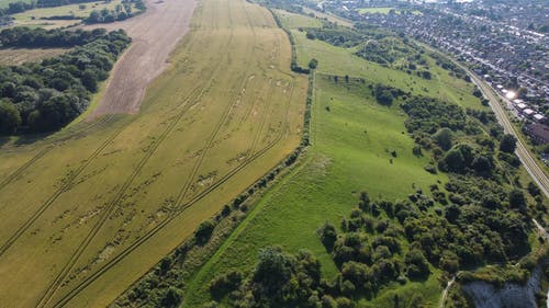 有关天性, 廣大, 景觀的免费素材图片