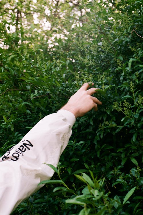 有关35毫米胶片, 垂直拍摄, 手臂的免费素材图片