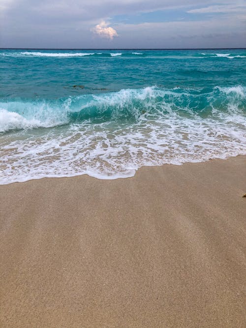 有关垂直拍摄, 岸边, 招手的免费素材图片