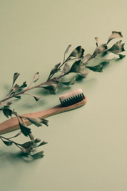 有关创造力, 口腔, 口腔卫生的免费素材图片