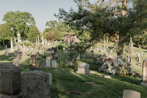 有关墓园, 墓地, 纪念公园的免费素材图片