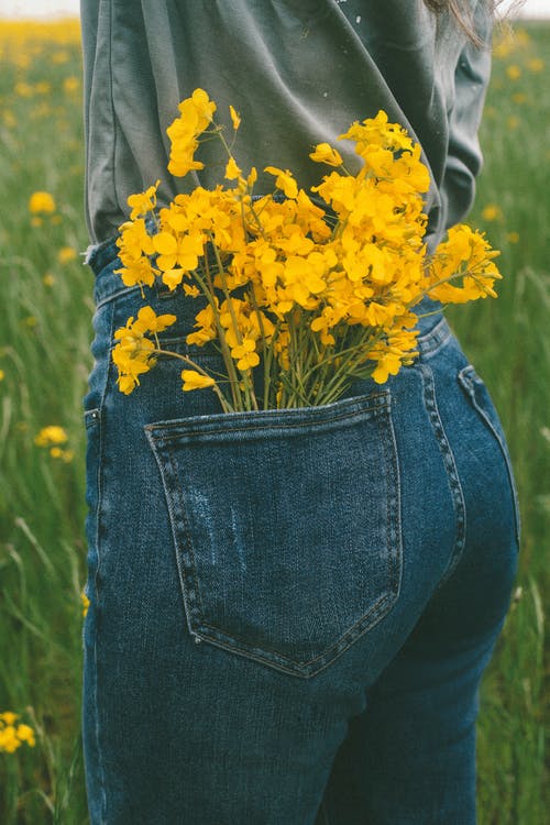 有关口袋, 绽放的花朵, 罂粟的免费素材图片