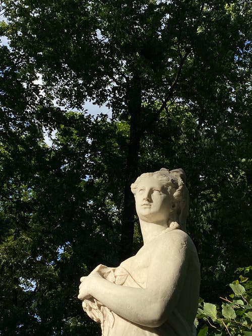 有关低角度拍摄, 垂直拍摄, 树木的免费素材图片