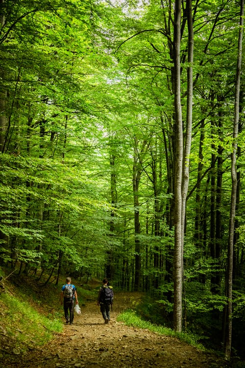 有关人, 冒險, 垂直拍摄的免费素材图片