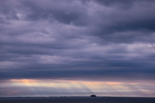 有关侧面, 光, 喜怒无常的免费素材图片