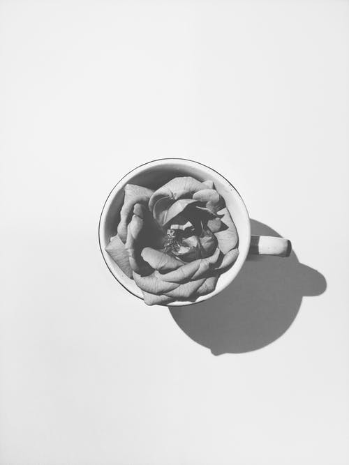 有关俯视图, 垂直拍摄, 灰阶的免费素材图片