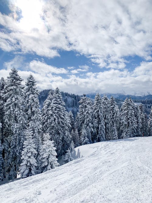 有关冬季, 垂直拍摄, 大雪覆盖的免费素材图片