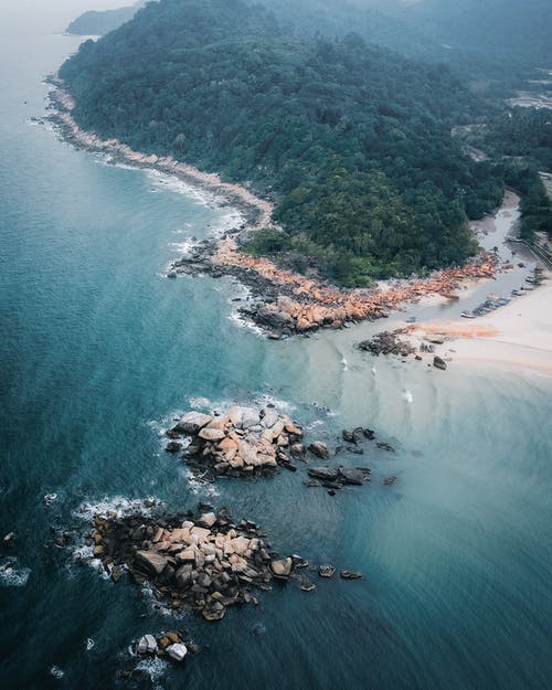 有关俯视图, 垂直拍摄, 天性的免费素材图片