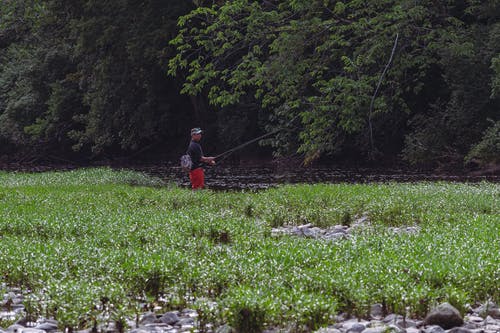 有关人, 休闲, 嗜好的免费素材图片
