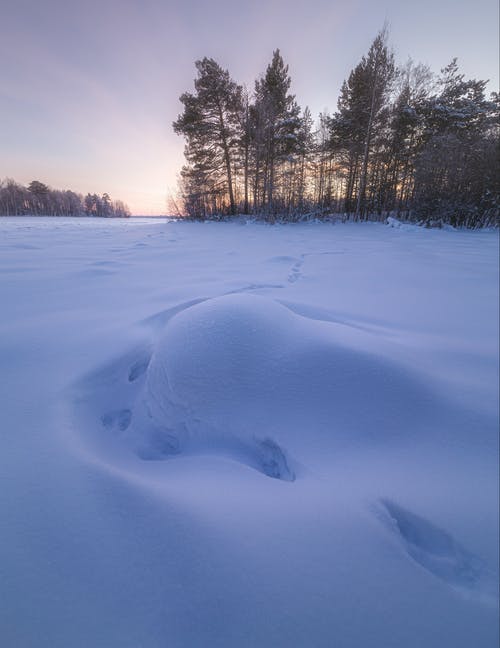 有关下雪的, 冬季, 垂直拍摄的免费素材图片
