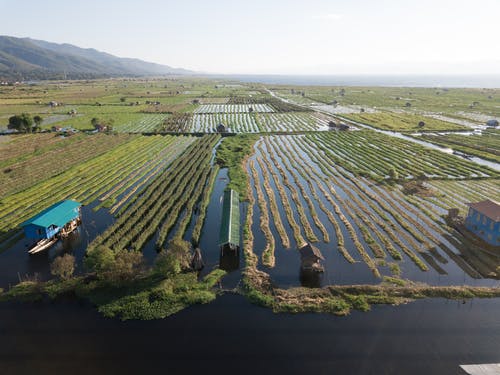 有关农业用地, 林场, 沼泽地的免费素材图片
