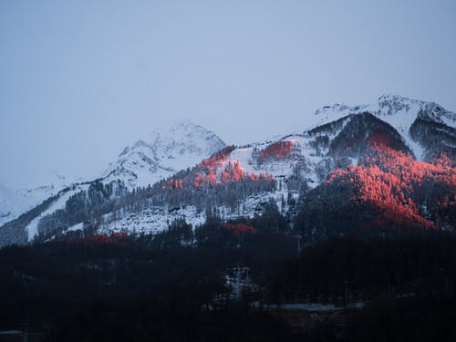有关冬季, 冷, 大雪覆盖的免费素材图片