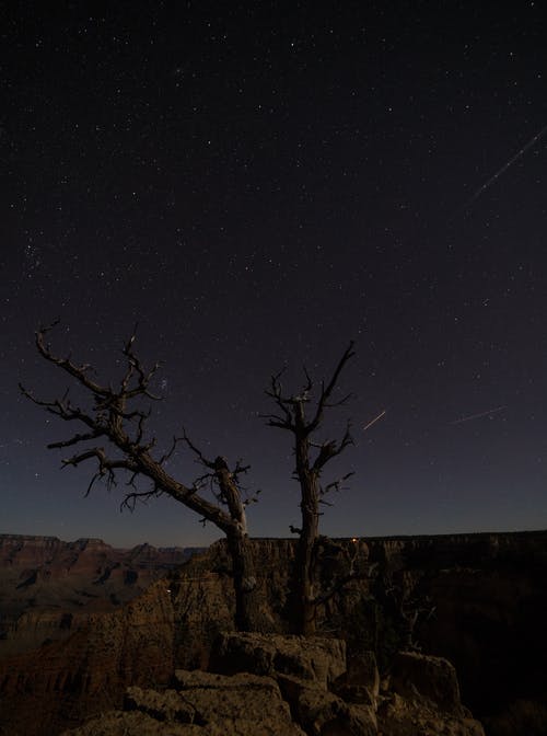 有关galaxy, 光秃秃的, 剪影的免费素材图片
